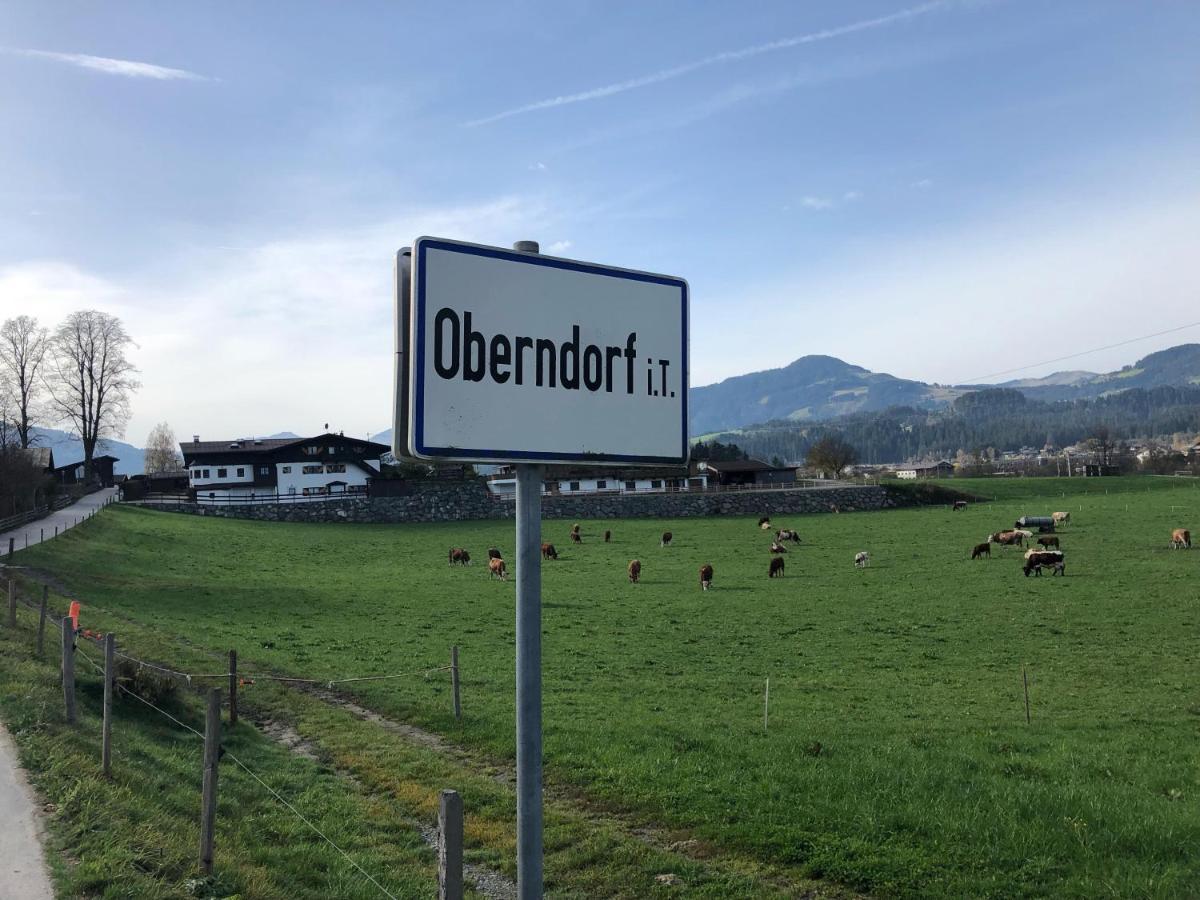Landhaus Ammer Oberndorf in Tirol Exterior photo